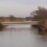 Pont en petite Camargue